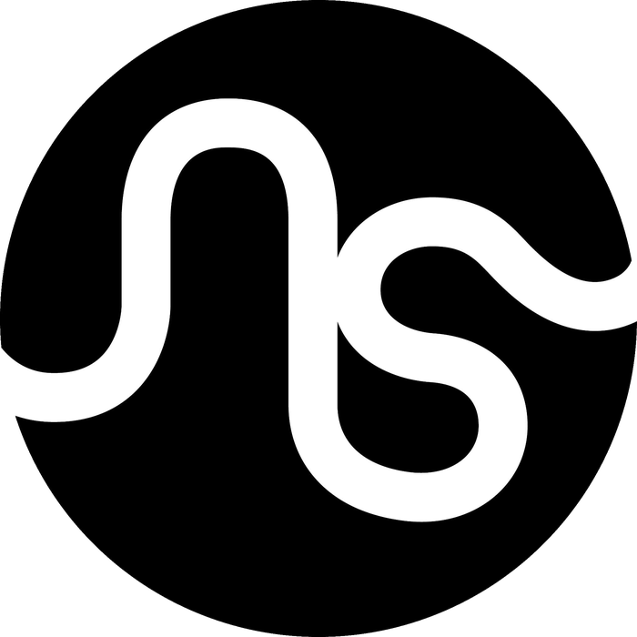 Noise Saigon logo